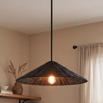 1-Light Pendant in Matte Black (8483|M7041MBK)