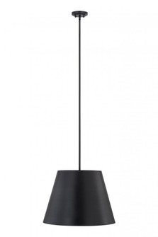 1 Light Pendant (276|2307-24MB)