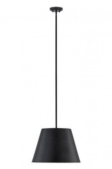 1 Light Pendant (276|2307-18MB)