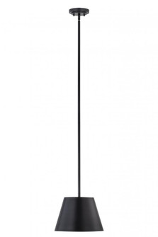 1 Light Pendant (276|2307-12MB)