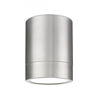 1 Light Flush Mount (276|1006F6-BN-LED)