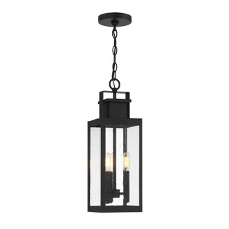 Ascott 3-Light Outdoor Hanging Lantern in Matte Black (128|5-827-BK)