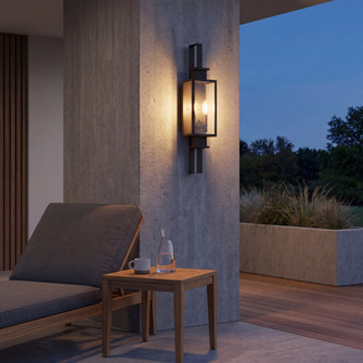 Ascott 2-Light Outdoor Wall Lantern in Matte Black (128|5-826-BK)