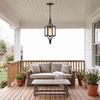 Raeburn 1-Light Outdoor Hanging Lantern in Matte Black and Weathered Brushed Brass (128|5-475-144)