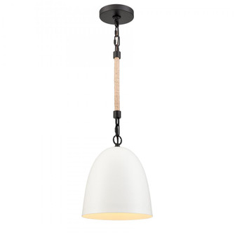 Downington 8.75'' Wide 1-Light Mini Pendant - Matte Black with Matte White (91|47801/1)