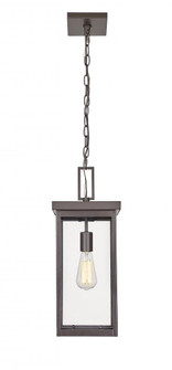 Barkeley 1-Light Outdoor Hanging Lantern Powder Coated Bronze (670|42607-PBZ)