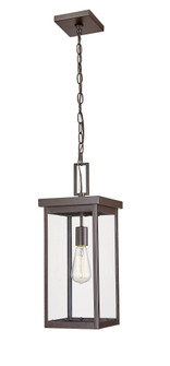 Barkeley 1-Light Outdoor Hanging Lantern Powder Coated Bronze (670|42607-PBZ)