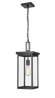Barkeley 1-Light Outdoor Hanging Lantern Powder Coated Black (670|42607-PBK)