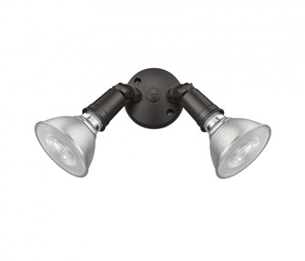 Security Flood Lights (670|16002-PBZ)