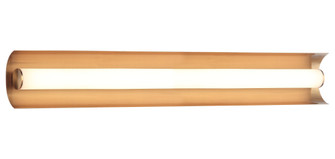 Norvan Aged Gold Brass Wall Sconce (3605|S02924AG)
