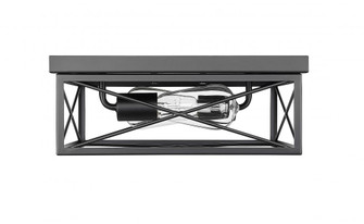 2-Light Flushmount Ceiling Light Matte Black (670|94102-MB)