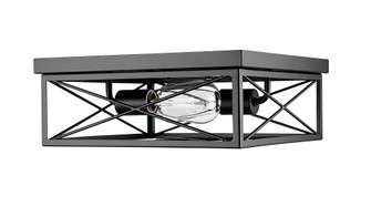 2-Light Flushmount Ceiling Light Matte Black (670|94102-MB)