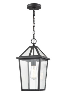 Eston 1-Light Outdoor Hanging Lantern Textured Black (670|91401-TBK)