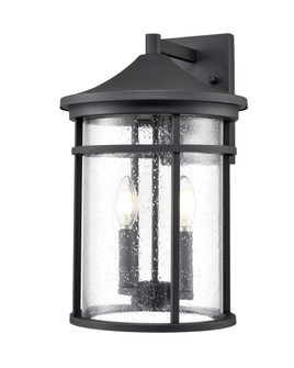 Namath 2-Light Outdoor Wall Sconce Textured Black (670|91322-TBK)