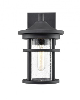 Outdoor Wall Sconce (670|91301-TBK)