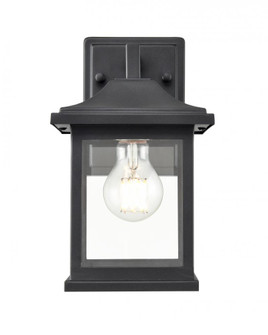 Outdoor Wall Sconce (670|91051-TBK)
