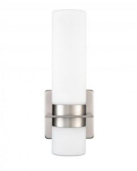 Outdoor Wall Sconce (670|79101-BN)