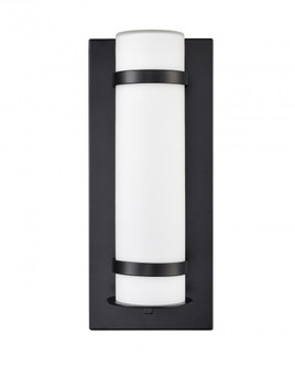 Outdoor Wall Sconce LED (670|77001-PBK)