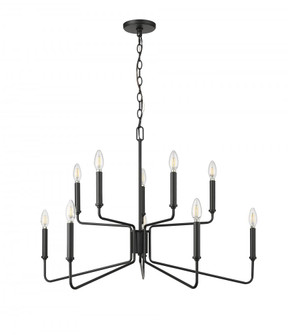 Raven 1 - Light Chandelier Ceiling Light Matte Black (670|29010-MB)