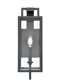 Outdoor Wall Sconce (670|280001-TBK)