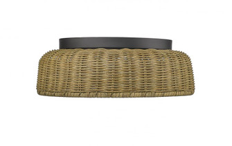 2-Light Flushmount Ceiling Light Matte Black (670|14202-MB)