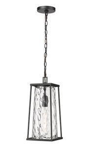 Dutton 1-Light Outdoor Hanging Lantern Powder Coated Black (670|10621-PBK)