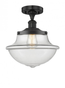 Oxford - 1 Light - 12 inch - Matte Black - Semi-Flush Mount (3442|616-1F-BK-G542)