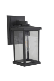 Resilience 1 Light Medium Outdoor Wall Lantern in Textured Black, Clear Lens (20|ZA2414-TB-C)
