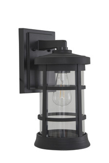 Resilience 1 Light Medium Outdoor Wall Lantern in Textured Black, Clear Lens (20|ZA2314-TB-C)