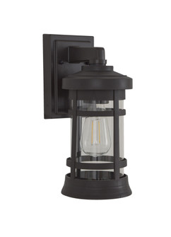 Resilience 1 Light Small Outdoor Wall Lantern in Bronze, Clear Lens (20|ZA2304-BZ-C)