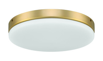 Mondo LED Light Kit in Satin Brass (20|MNDLK-SB-LED)