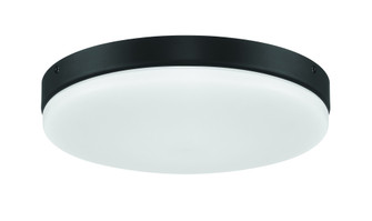 Mondo LED Light Kit in Flat Black (20|MNDLK-FB-LED)