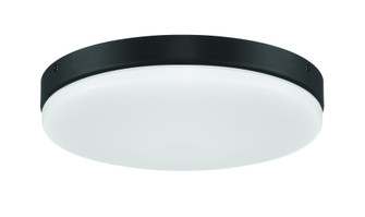Mondo LED Light Kit in Flat Black (20|MNDLK-FB-LED)