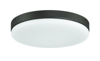 Mondo LED Light Kit in Espresso (20|MNDLK-ESP-LED)