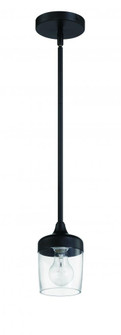 Wrenn 1 Light Mini Pendant in Flat Black (20|58191-FB)