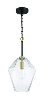 Avante Grand 1 Light Pendant in Flat Black/Satin Brass (20|56992-FBSB)