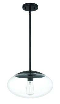 Gaze 14'' 1 Light Oval Pendant in Flat Black (20|56894-FB)
