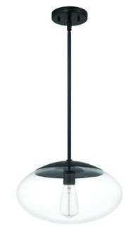Gaze 14'' 1 Light Oval Pendant in Flat Black (20|56894-FB)
