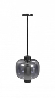 Cosmopolitan 12'' Pendant in Gunmetal with Clear Glass (4450|HF7812-GM)