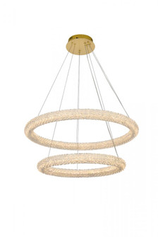 Bowen 32 inch Adjustable LED Chandelier in Satin Gold (758|3800G32SG)
