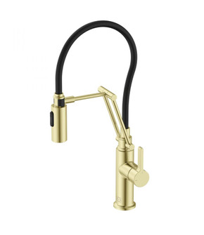 Kitchen Faucet 4 5/8'' ×  1‘-8'' ×9 1/4'' brushed gold (758|FAK-304BGD)
