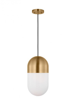 Medium Pendant (7725|DJP1141SB)