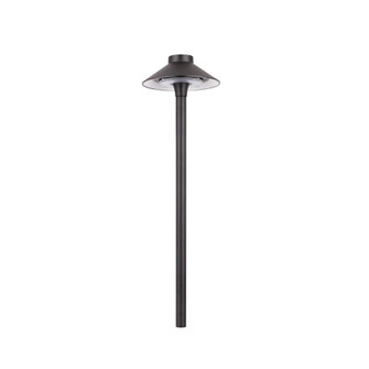 Smart Color Changing LED Landscape Tiki Path Light (16|6841-CSBK)