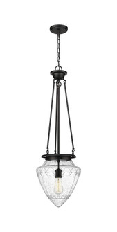 Beacon - 1 Light - 14 inch - Matte Black - Chain Hung - Pendant (3442|221-1P-BK-G664-12)
