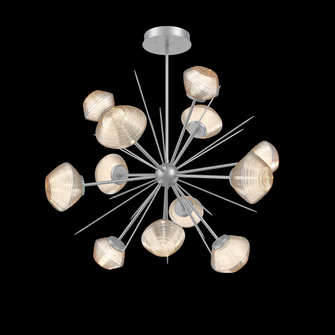 Mesa Starburst - Large (1289|CHB0089-0B-CS-A-001-L1)