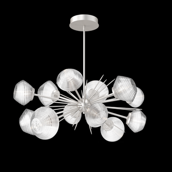 Mesa Oval Starburst (1289|PLB0089-0D-BS-C-001-L3)