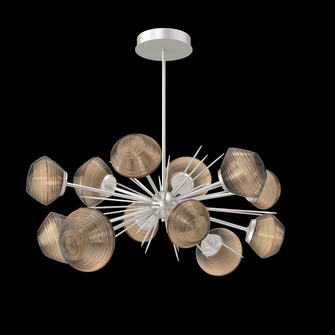 Mesa Oval Starburst (1289|PLB0089-0D-BS-B-001-L1)