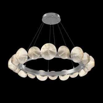 Mesa Radial Ring - 48-Inch (1289|CHB0089-48-SN-A-CA1-L3)