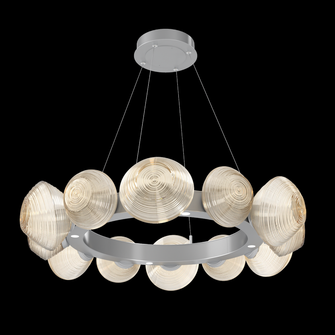 Mesa Radial Ring - 36-Inch (1289|CHB0089-36-CS-A-CA1-L1)