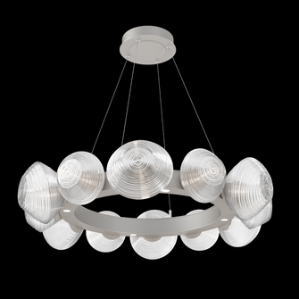 Mesa Radial Ring - 36-Inch (1289|CHB0089-36-BS-C-CA1-L1)